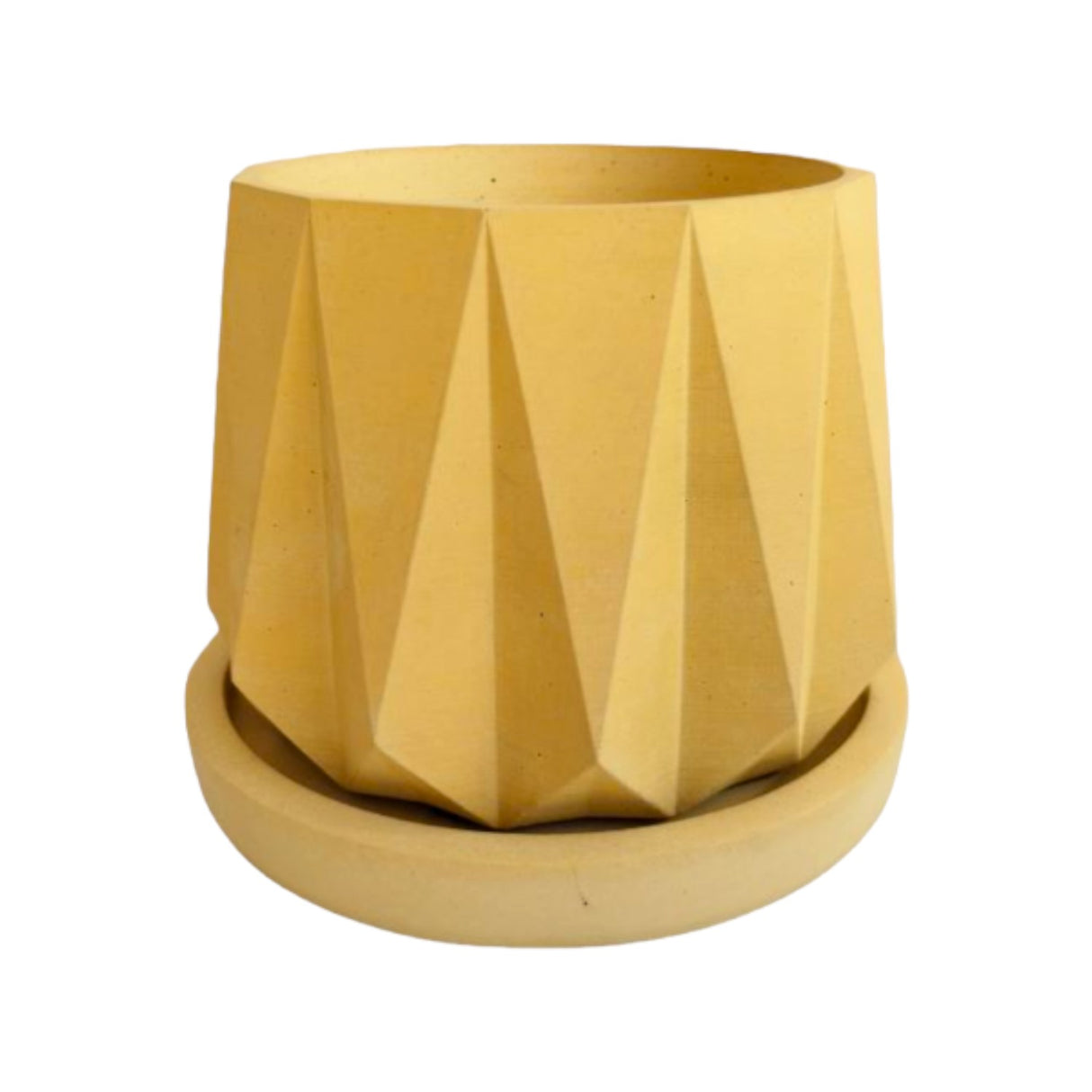 Matera de mesa Lirio Amarillo 10x2cm de Cemento Circular de 0.2 Litros - Jardineria | Bylmo