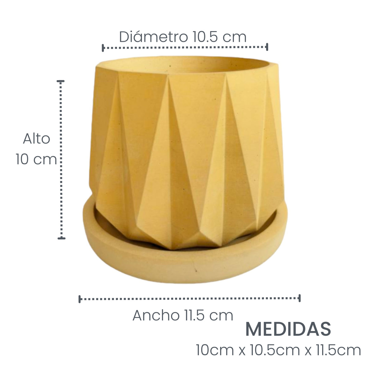 Matera de mesa Lirio Amarillo 10x2cm de Cemento Circular de 0.2 Litros - Jardineria | Bylmo