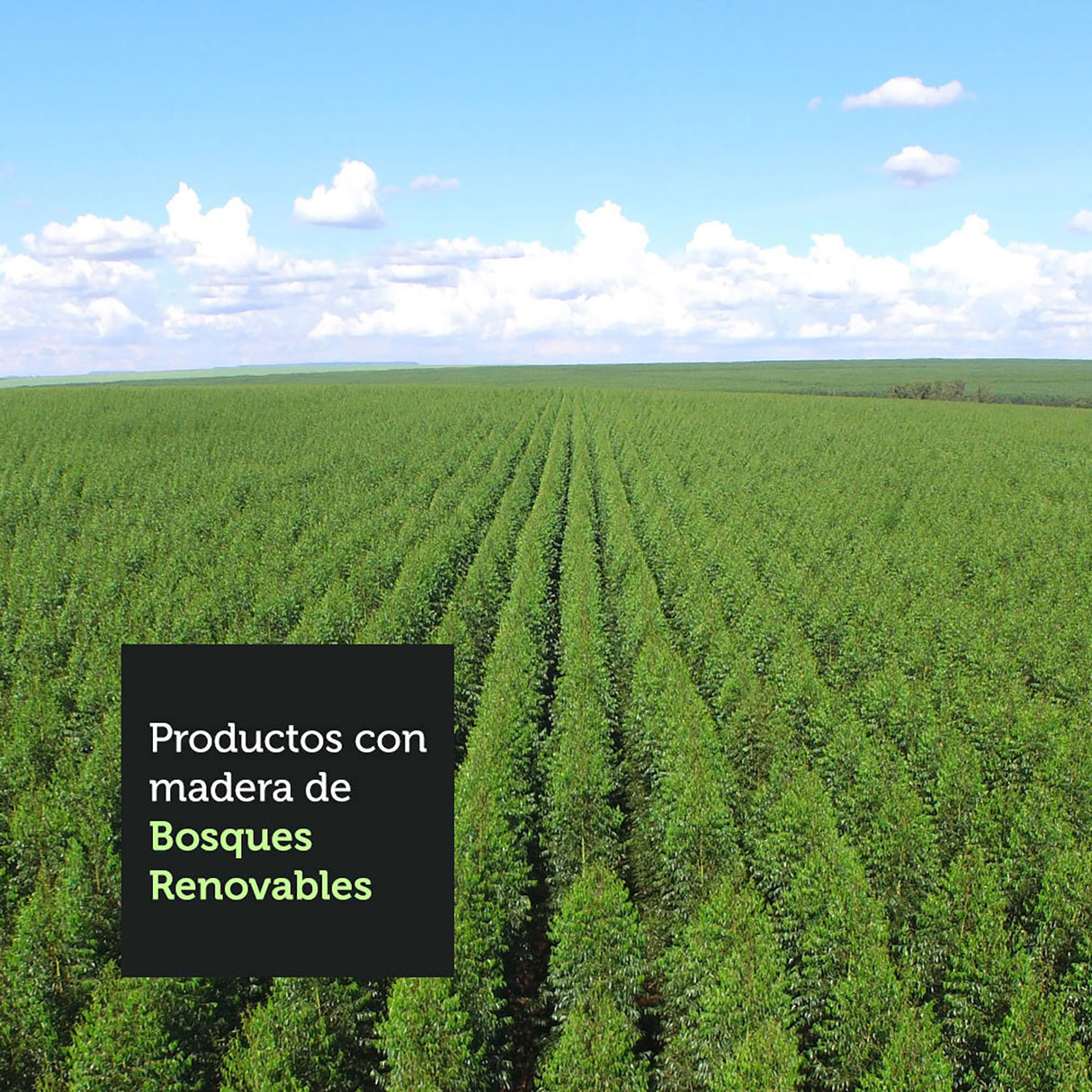Closet Luke Blanco 120x183cm con Espejo y Tres Cajones - Closets | Bylmo