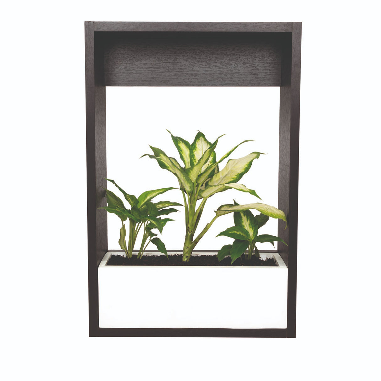 Matera Leyla Blanco 70x12cm Rectangular Tradicional de Piso - Materas y Macetas | Bylmo