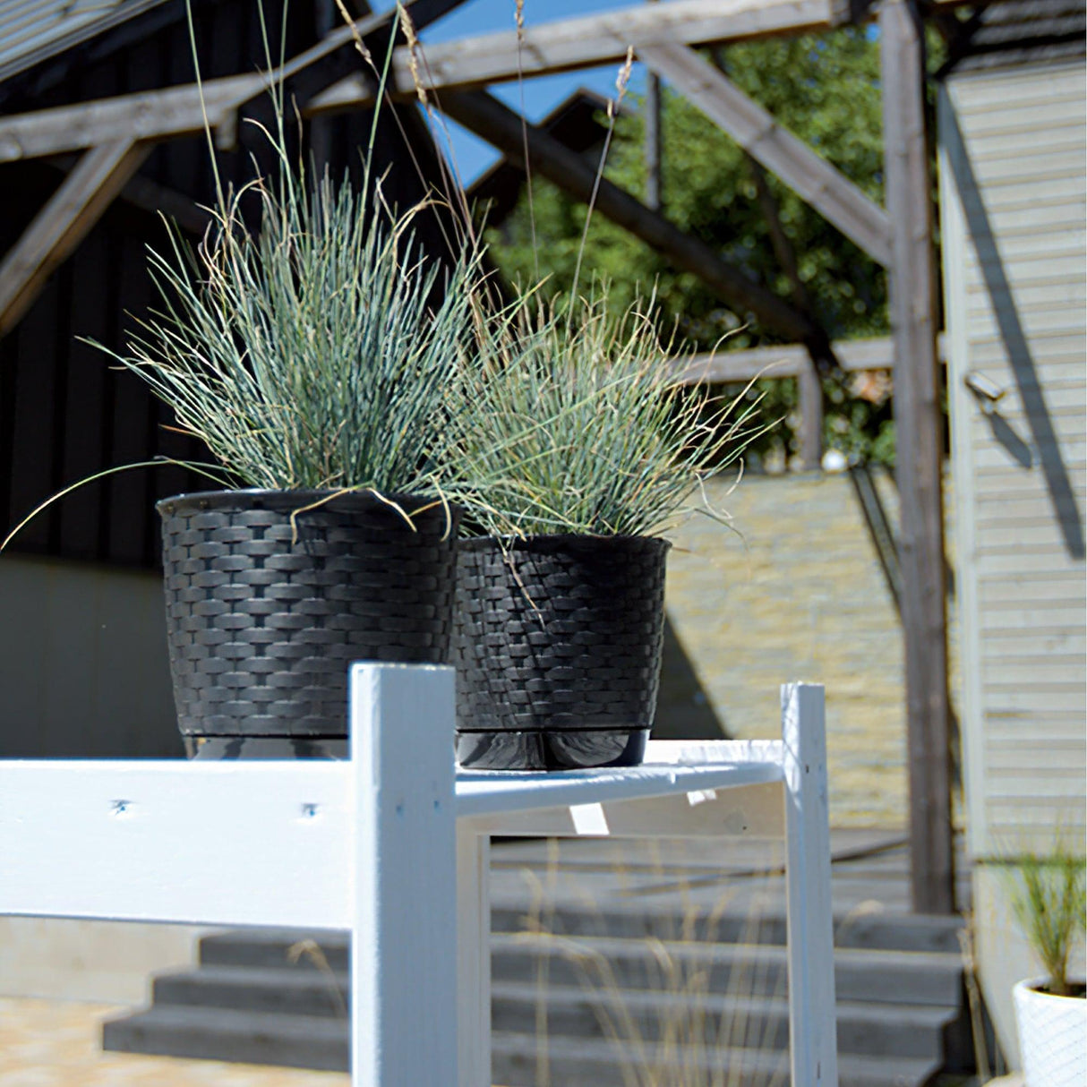 Matera Ratolla Round Cafe 25x21.9cm Cónica De Escritorio - Materas y Macetas | Bylmo