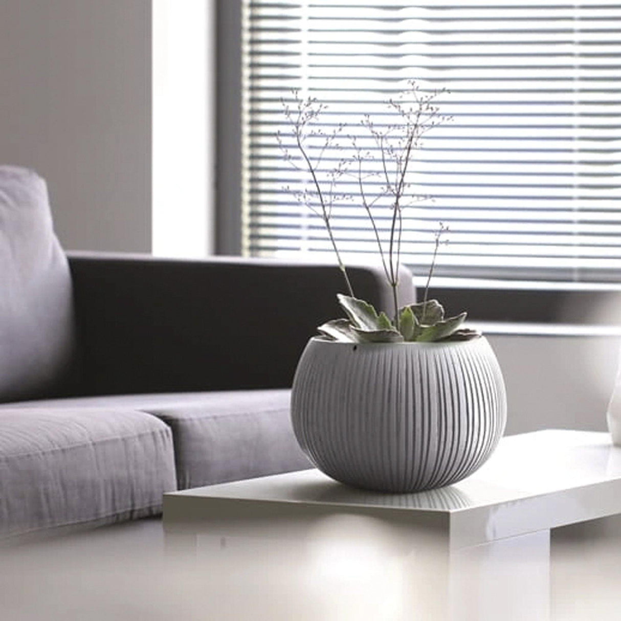 Matera Beton Bowl Gris Concreto 29x19.5cm Cónica De Escritorio - Materas y Macetas | Bylmo