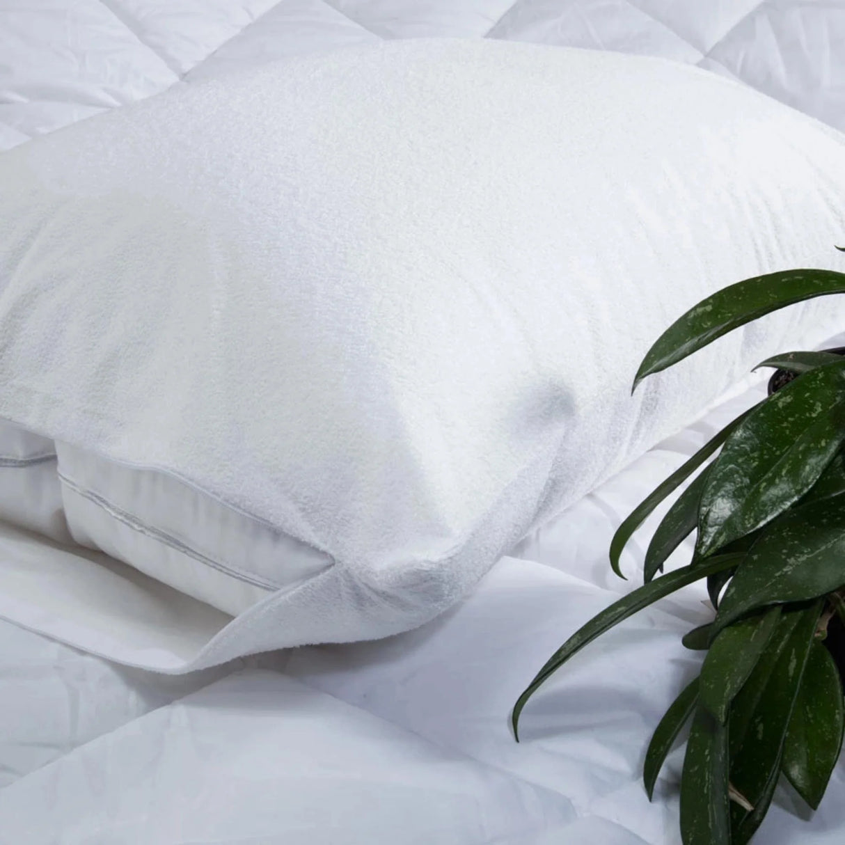 Protector de Almohada Terry Punto Blanco 50x70Cm Impermeable - PROTECTORES DE COLCHON | Bylmo