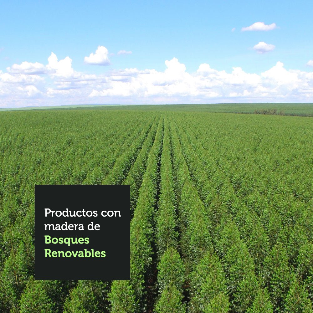 Mueble Superior de Cocina Glamy Marron 80x66cm con Un Entrepaño - MUEBLES SUPERIORES DE COCINA | Bylmo