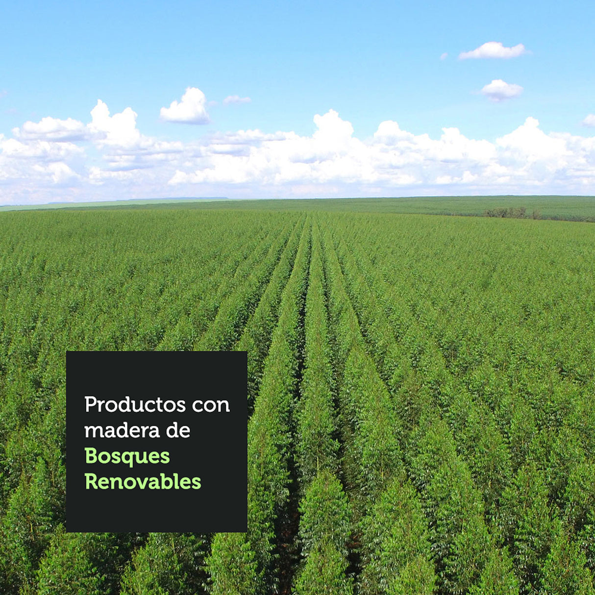 Mueble Superior de Cocina Agata Blanco y Crema 80x33cm Sin Entrepaños - MUEBLES SUPERIORES DE COCINA | Bylmo