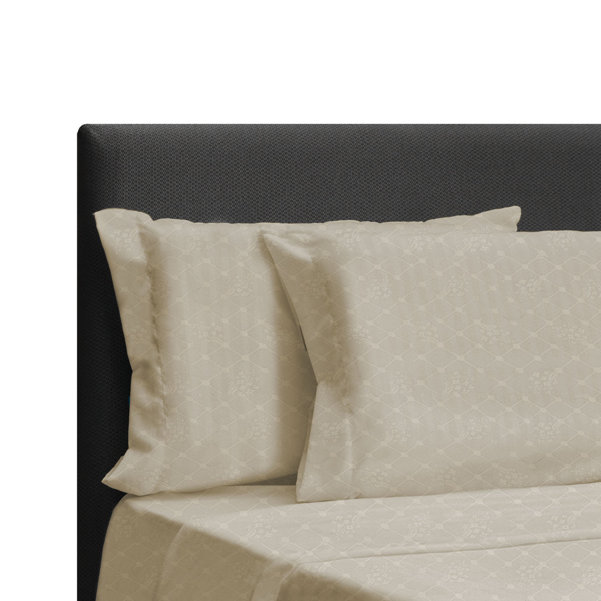 Juego de Sabanas Beige para Cama Queen 160 X 190 Cm Hipoelergénicas y Antiácaros - SABANAS | Bylmo