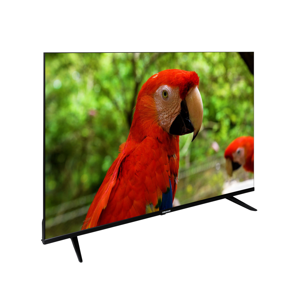 Televisor Led Smart Google 128.5x75cm de 58 Pulgadas 4K 2160P Con Wifi Integrado y Con Bluetooth - TELEVISORES | Bylmo