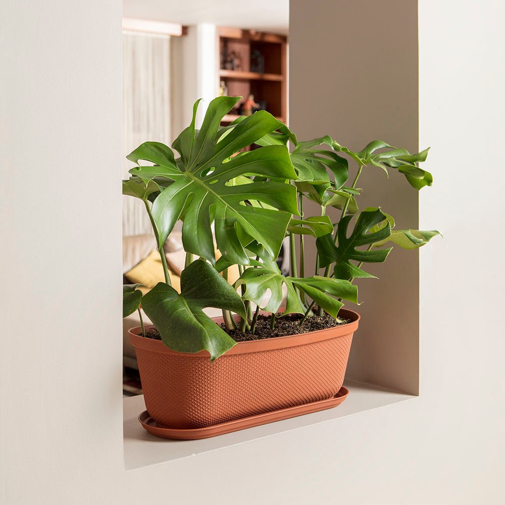 Matera de Mesa Rimax Rafia Terracota 60.2x19.6cm Ovalado con Orificio de Drenaje - MATERAS DE MESA | Bylmo