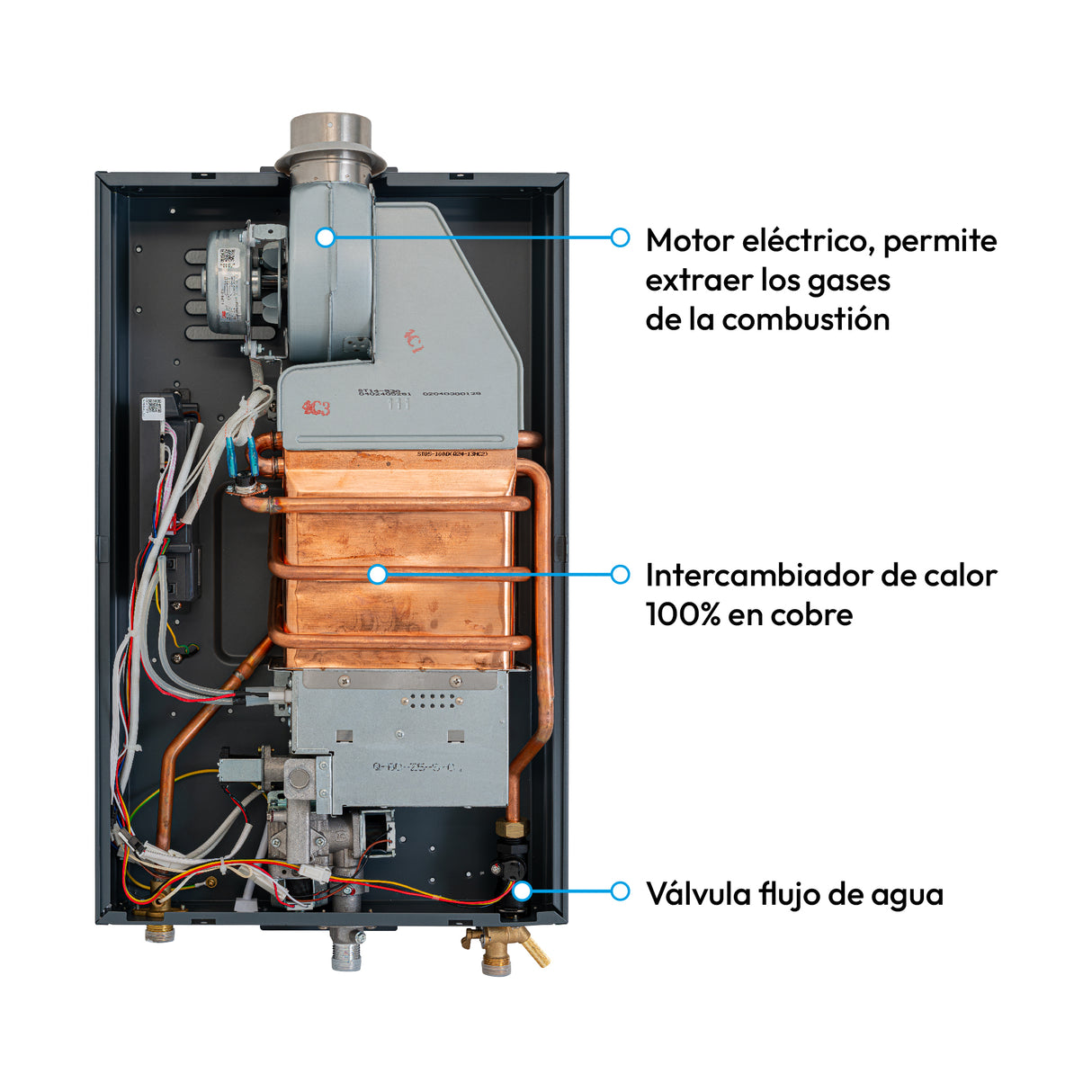 Calentador de Agua Challenger Negro 35x65cm 16 Litros de Tiro Forzado para Gas Natural - CALENTADORES DE AGUA | Bylmo