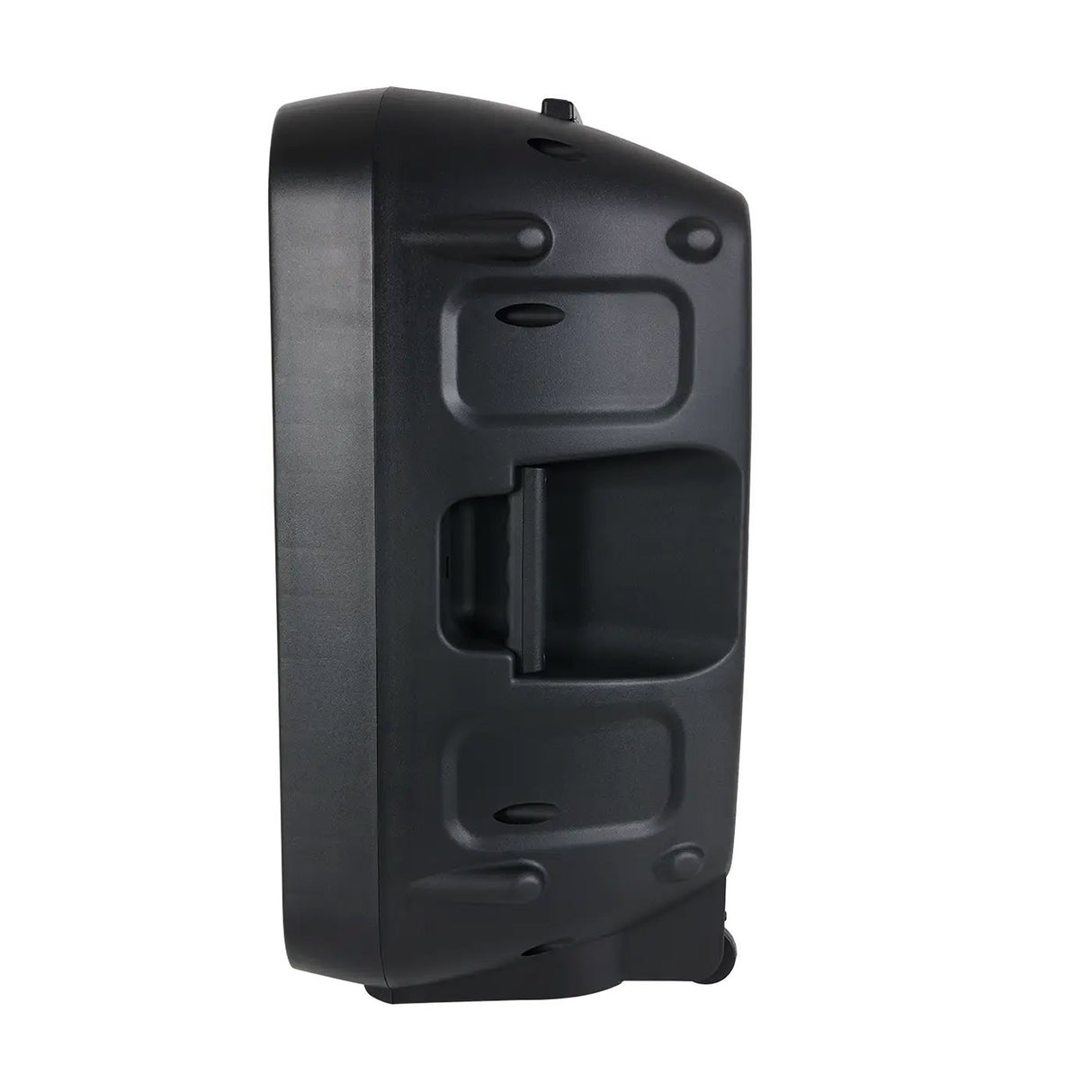 Parlante Kalley Negro 33x68.5cm con Micrófono y con Control Remoto - PARLANTES | Bylmo