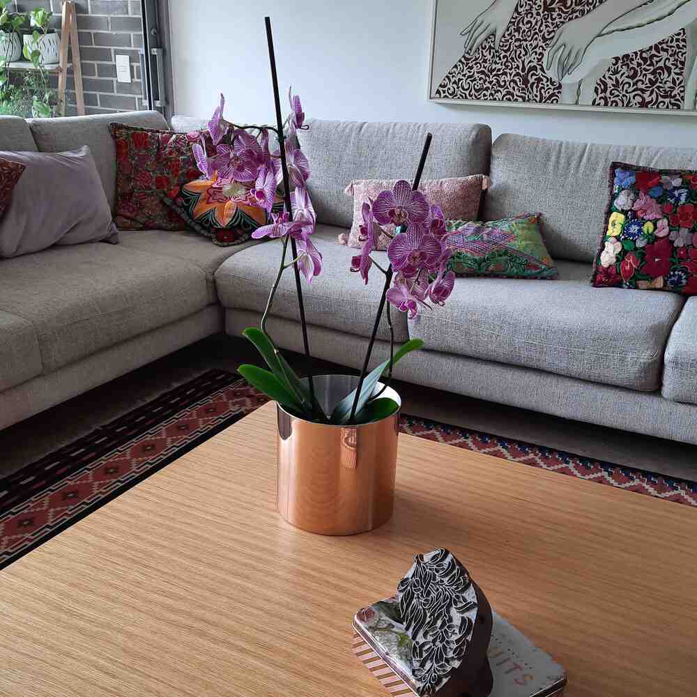 Matera de mesa Cobre 20x20cm de Metal Circular de 6.3 Litros - Jardinería | Bylmo