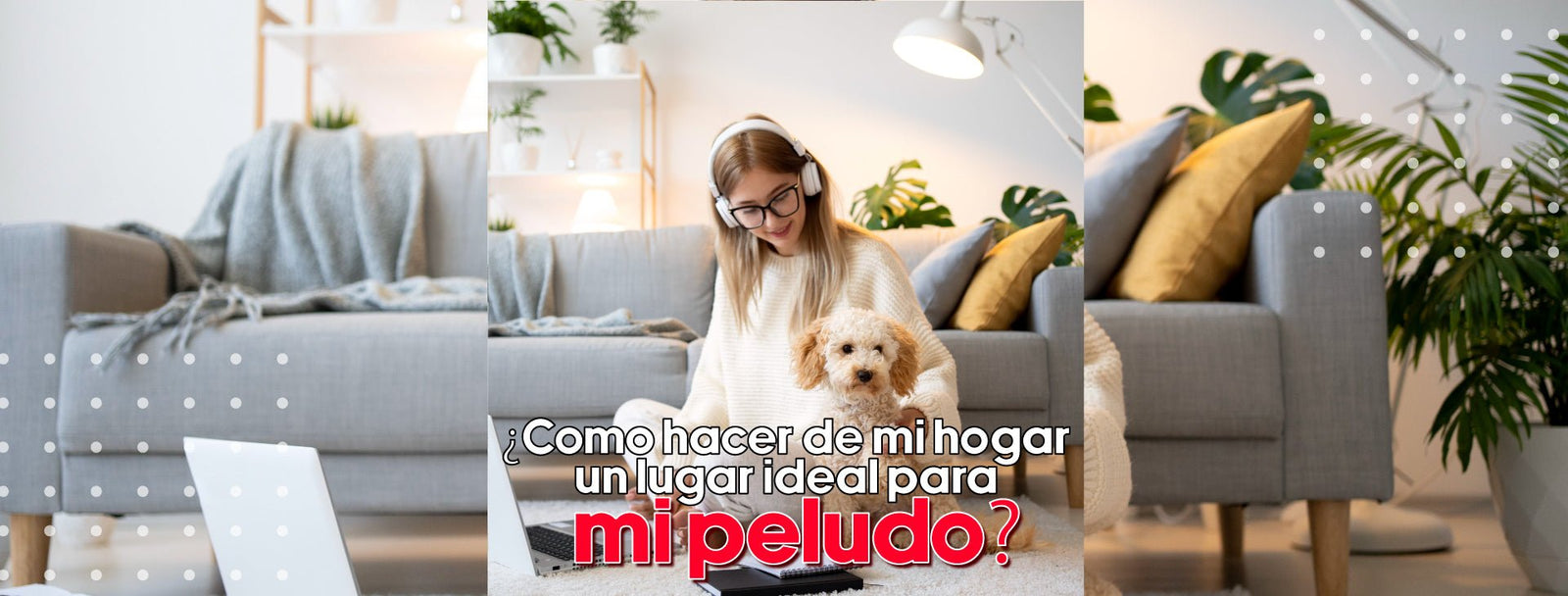 ¿Cómo hacer de mi hogar un lugar ideal para mi peludo? - Bylmo