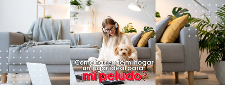 ¿Cómo hacer de mi hogar un lugar ideal para mi peludo? - Bylmo