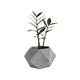 Jardinería
