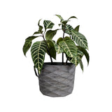 Matera de mesa Carlota Gris Oscuro 19x15cm de Cemento Circular de 4.3 Litros - Jardineria | Bylmo