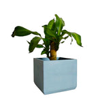 Matera de mesa Eloisa Azul Petróleo 15x15cm de Cemento Cuadrado de 3.4 Litros - Jardineria | Bylmo