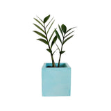 Matera de mesa Eloisa Petty Aguamarina 12x12cm de Cemento Cuadrado de 1.7 Litros - Jardineria | Bylmo