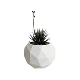 Matera de mesa Laia Blanco 7x8cm de Cemento Circular de 0.3 Litros - Jardineria | Bylmo