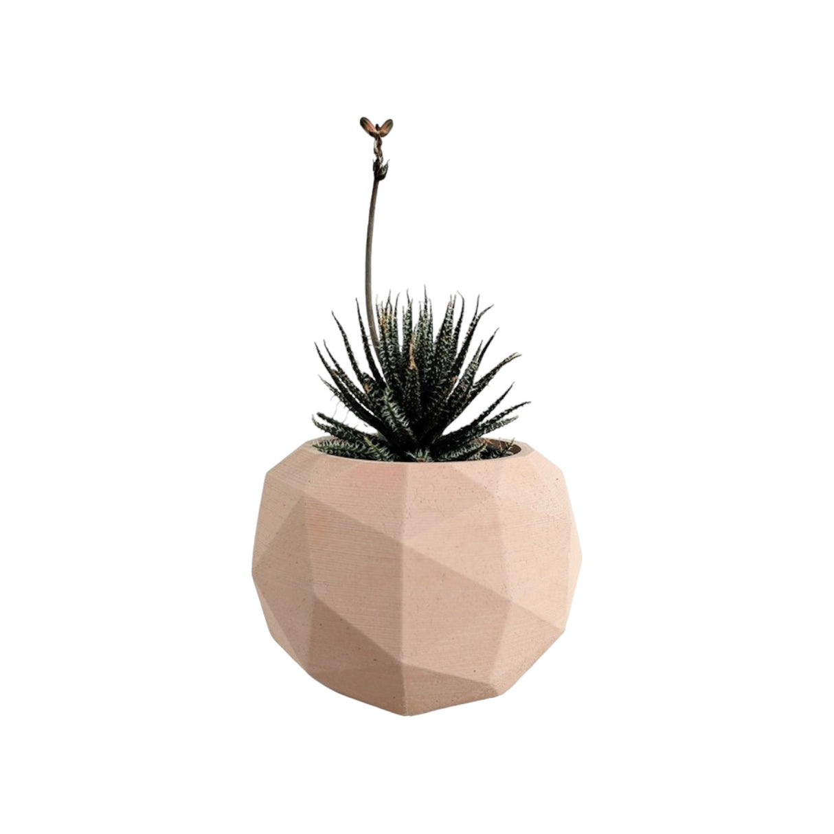 Matera de mesa Laia Nude 7x8cm de Cemento Circular de 0.3 Litros - Jardineria | Bylmo