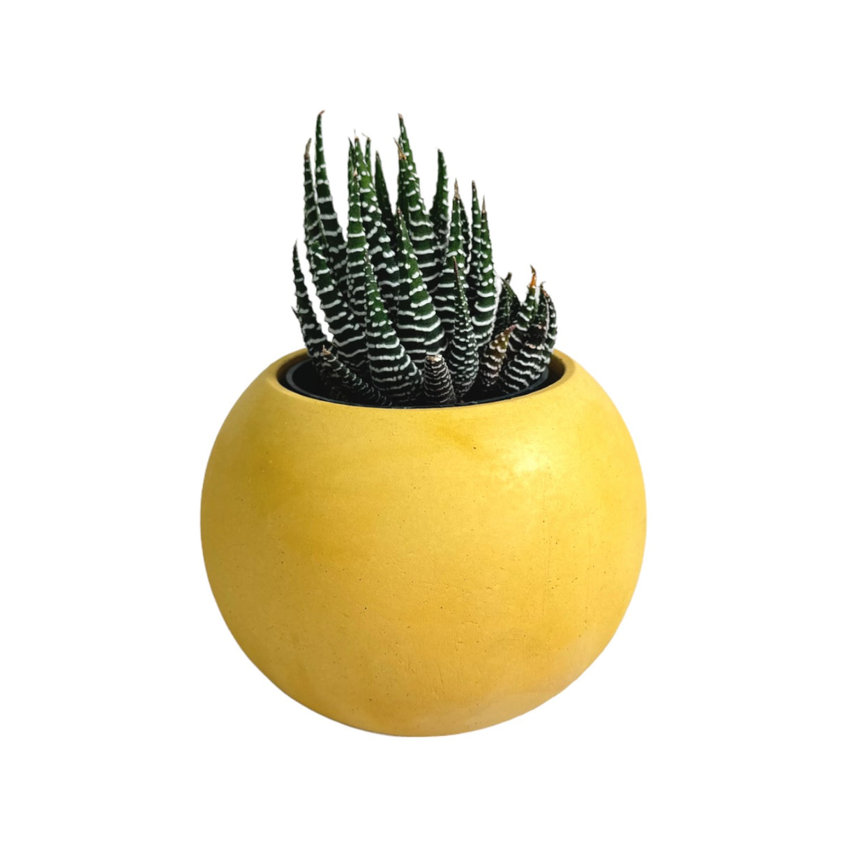Matera de mesa Luna Amarillo 6x7cm de Cemento Circular de 0.2 Litros - Jardineria | Bylmo