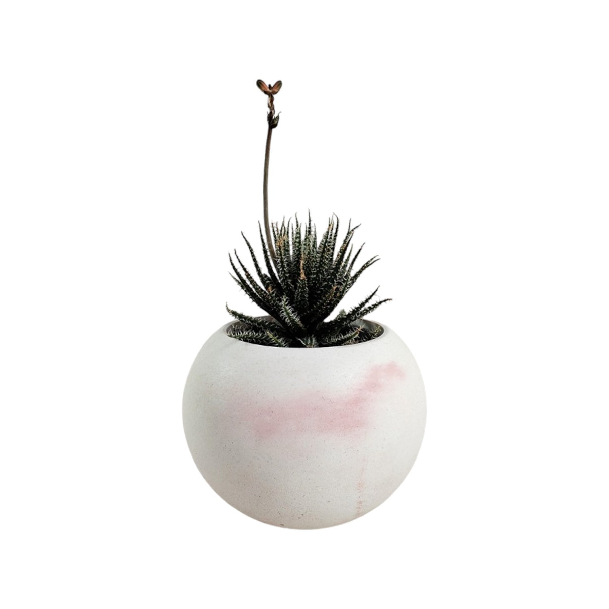 Matera de mesa Luna Mármol Rosa 6x7cm de Cemento Circular de 0.2 Litros - Jardineria | Bylmo