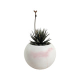Matera de mesa Luna Mármol Rosa 6x7cm de Cemento Circular de 0.2 Litros - Jardineria | Bylmo