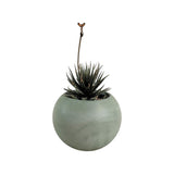 Matera de mesa Luna Verde Oliva 6x7cm de Cemento Circular de 0.2 Litros - Jardineria | Bylmo
