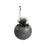 Matera de mesa Luna Gris Oscuro 6x7cm de Cemento Circular de 0.2 Litros - Jardineria | Bylmo