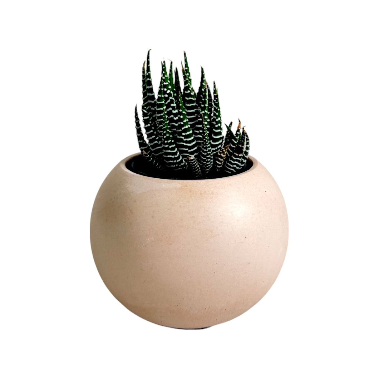 Matera de mesa Luna Nude 6x7cm de Cemento Circular de 0.2 Litros - Jardineria | Bylmo