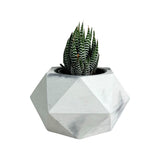 Matera de mesa Adara Petty Mármol Negro 7x7cm de Cemento Hexagonal de 0.2 Litros - Jardineria | Bylmo