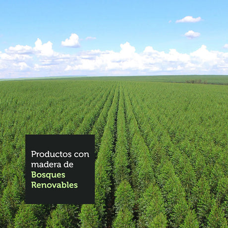 Estantería Ellie Negro 61x140cm en Escalera con Cinco Entrepaños - Bibliotecas y Estanterías | Bylmo