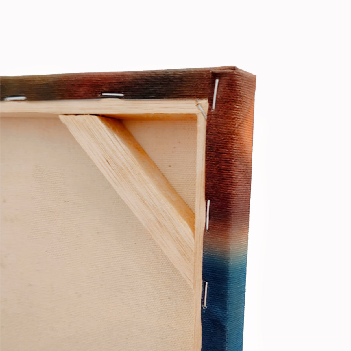 Cuadro de Lienzo Aves De Color 72x36cm Decorativo - Cuadros | Bylmo