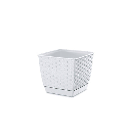 Matera Ratolla Square Blanco 19x15.9cm Cuadrada De Escritorio - Materas y Macetas | Bylmo