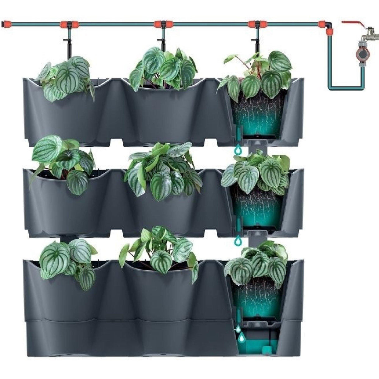 Matera Cascade Wall Antracita 67x57cm Asimétrica Jardin Vertical - Materas y Macetas | Bylmo