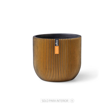 Matera Conic Round Groove Oro 14x13cm Cónica De Escritorio - Materas y Macetas | Bylmo