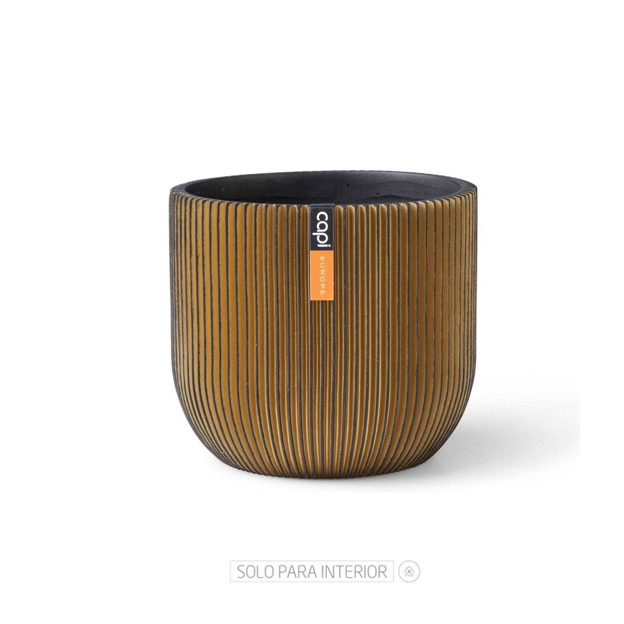 Matera Conic Round Groove Oro 17x15cm Cónica De Escritorio - Materas y Macetas | Bylmo
