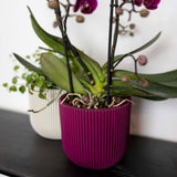 Matera Conic Round Groove Morado 14x13cm Cónica De Escritorio - Materas y Macetas | Bylmo