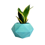 Matera de mesa Mediana Adara Aguamarina 18x10.5cm Hexagonal - MATERAS Y MACETAS | Bylmo