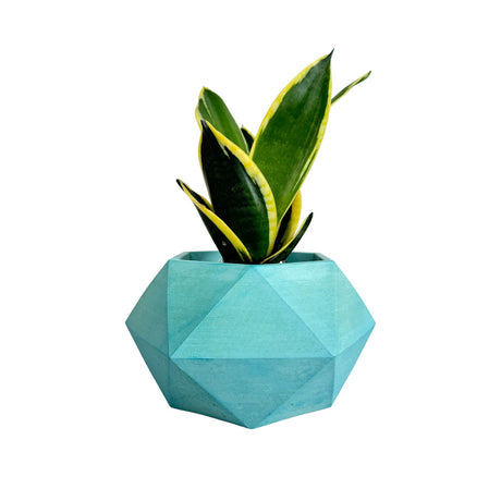 Matera de mesa Mediana Adara Aguamarina 18x10.5cm Hexagonal - MATERAS Y MACETAS | Bylmo