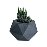 Matera de mesa Pequeña Adara Petty Negro 11x6.5cm Hexagonal - MATERAS Y MACETAS | Bylmo