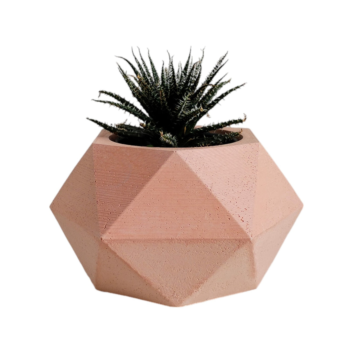 Matera de mesa Pequeña Adara Petty Palo de Rosa 11x6.5cm Hexagonal - MATERAS Y MACETAS | Bylmo