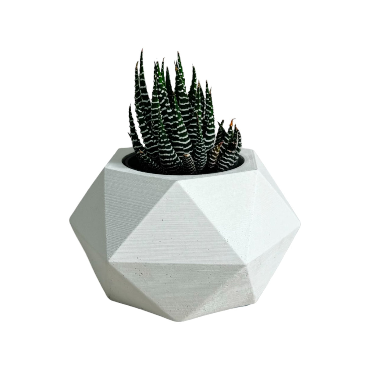 Matera de mesa Pequeña Adara Petty Blanco 11x6.5cm Hexagonal - MATERAS Y MACETAS | Bylmo