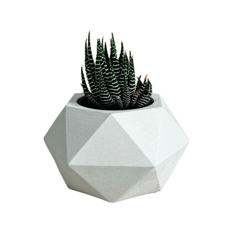 Matera de mesa Pequeña Adara Petty Blanco 11x6.5cm Hexagonal - MATERAS Y MACETAS | Bylmo