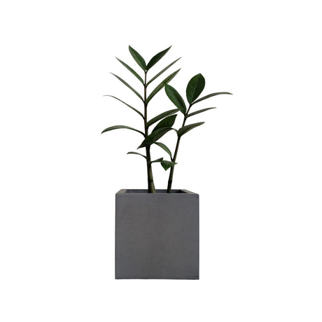 Matera de mesa Pequeña Eloisa Petty Negro 10x10cm Cuadrada - MATERAS Y MACETAS | Bylmo