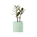 Matera de mesa Pequeña Eloisa Petty Menta 10x10cm Cuadrada - MATERAS Y MACETAS | Bylmo