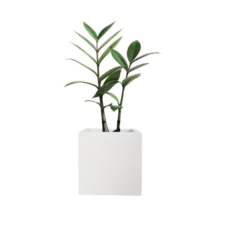 Matera de mesa Pequeña Eloisa Petty Blanco 10x10cm Cuadrada - MATERAS Y MACETAS | Bylmo
