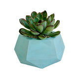 Matera de mesa Pequeña Jade Aguamarina 14x6.5cm Hexagonal - MATERAS Y MACETAS | Bylmo