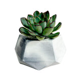 Matera de mesa Pequeña Jade Mármol negro 14x6.5cm Hexagonal - MATERAS Y MACETAS | Bylmo