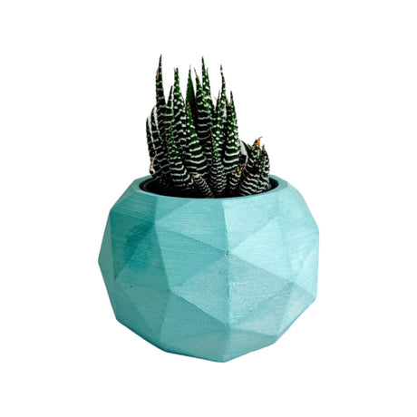Matera de mesa Pequeña Laia Aguamarina 9x7.5cm Asimétrica - MATERAS Y MACETAS | Bylmo