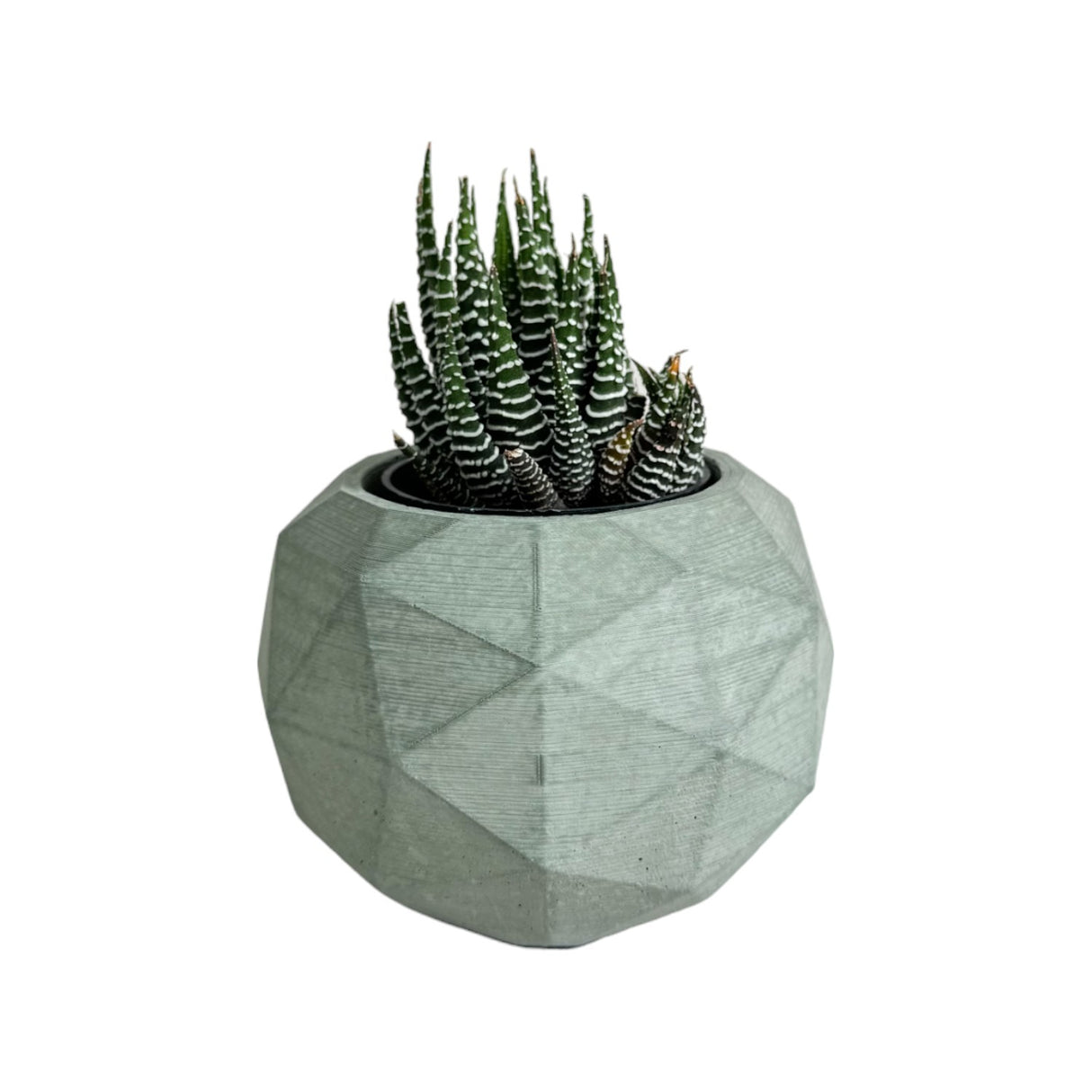 Matera de mesa Pequeña Laia Verde Oliva 9x7.5cm Asimétrica - MATERAS Y MACETAS | Bylmo